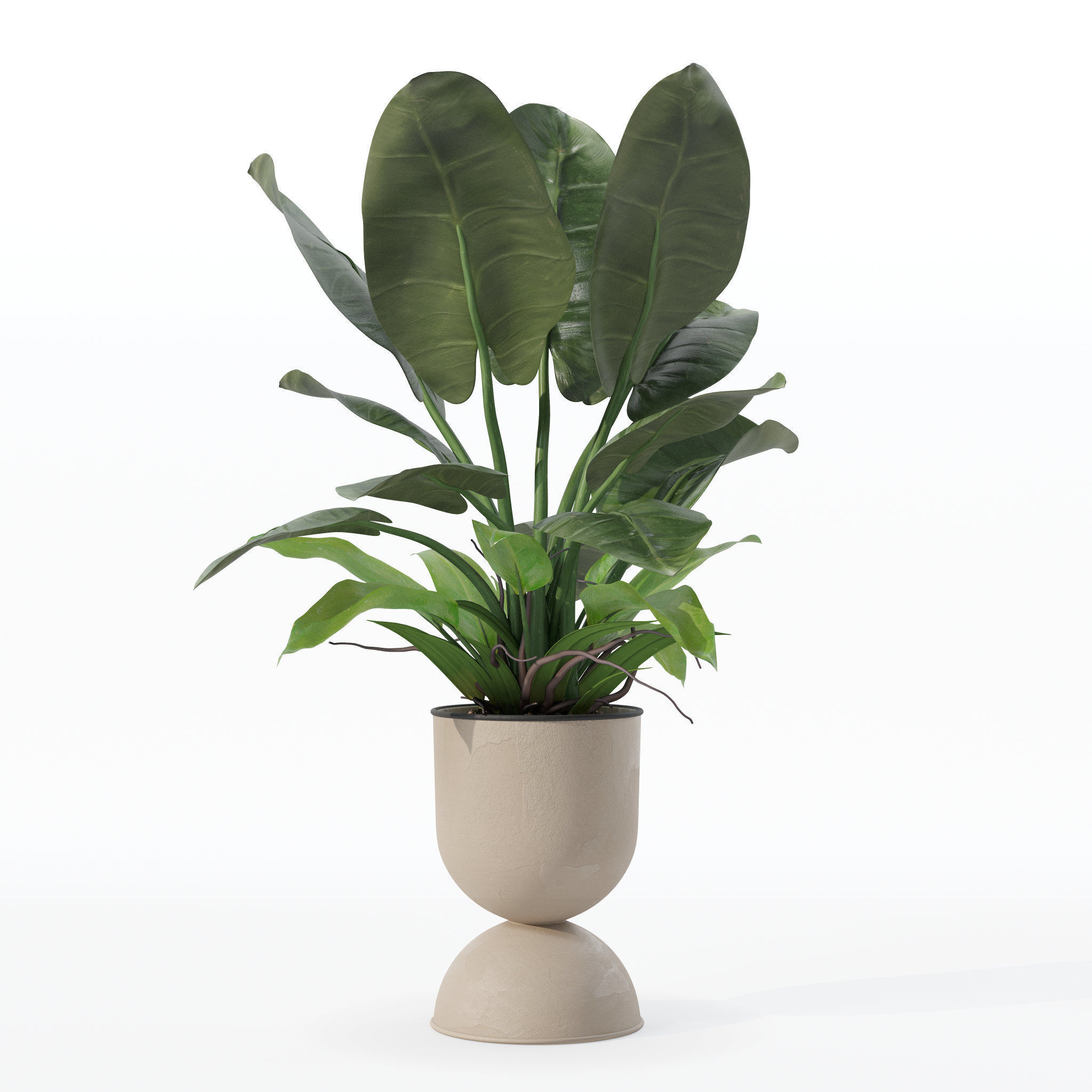 Philodendron imperial green in modern flowerpot 3D model_20
