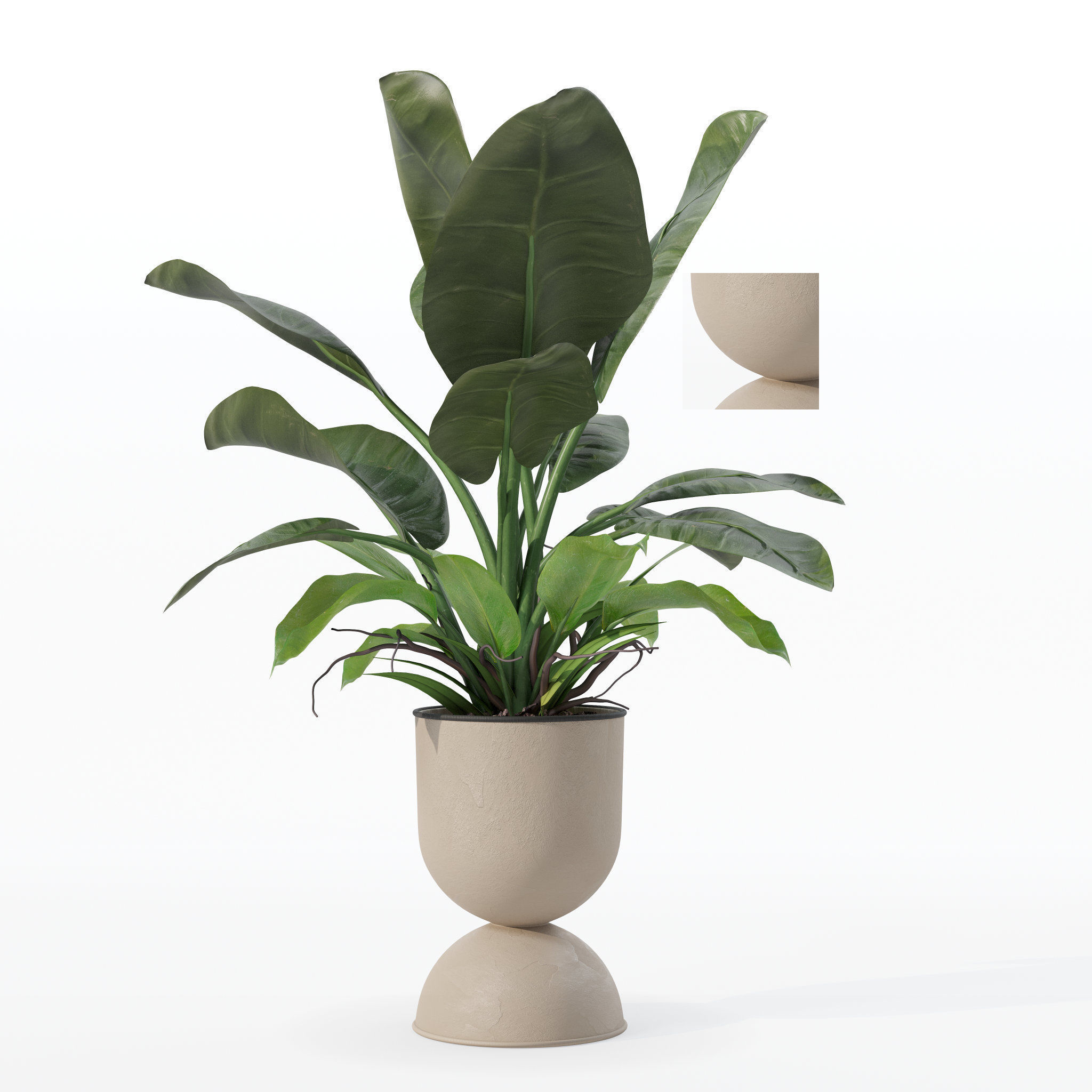 Philodendron imperial green in modern flowerpot 3D model_14