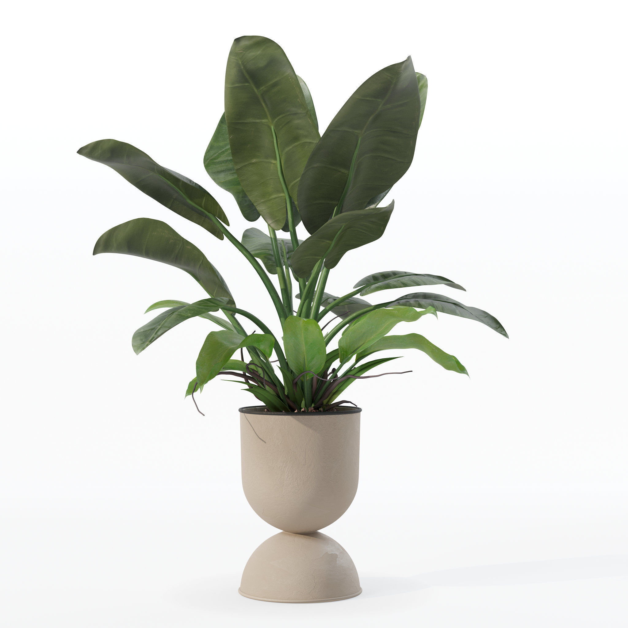 Philodendron imperial green in modern flowerpot 3D model_12