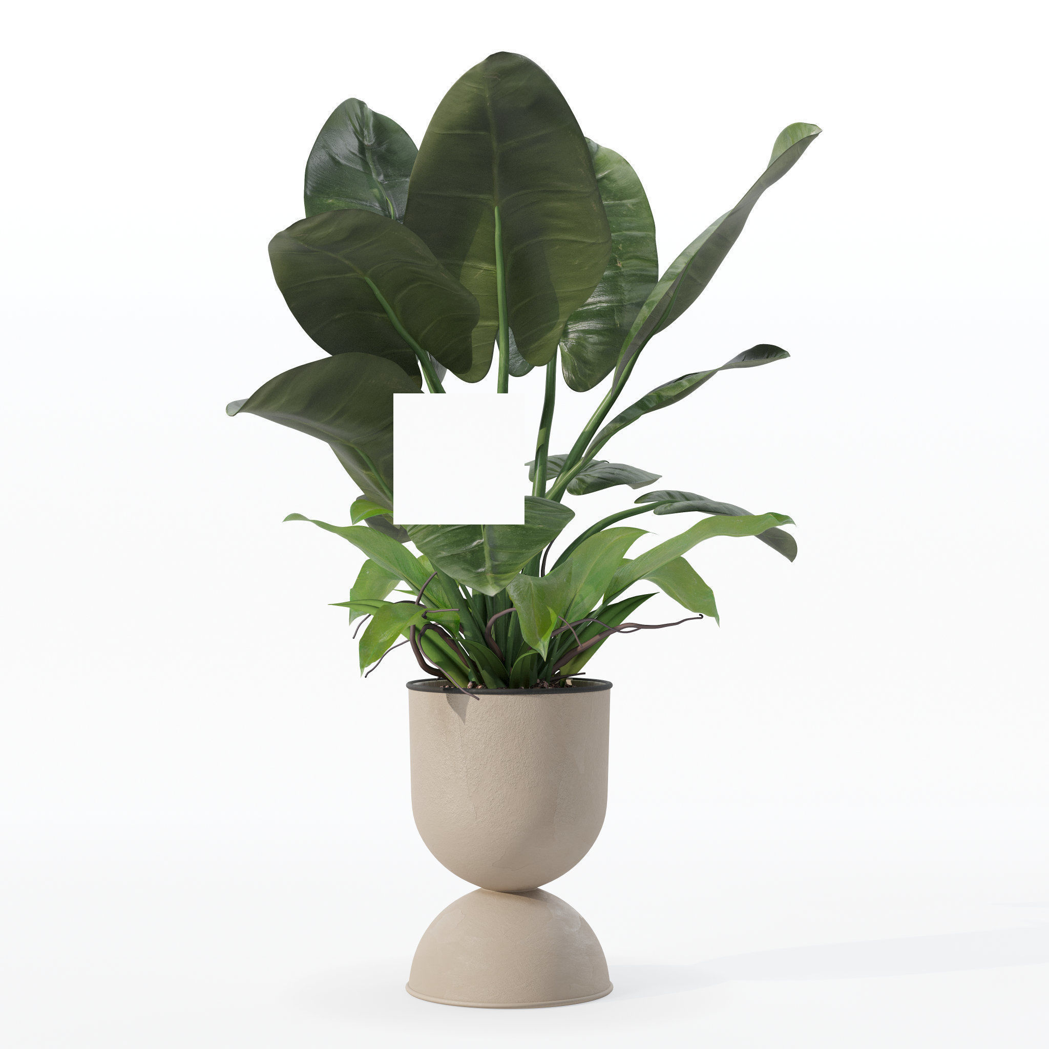 Philodendron imperial green in modern flowerpot 3D model_29