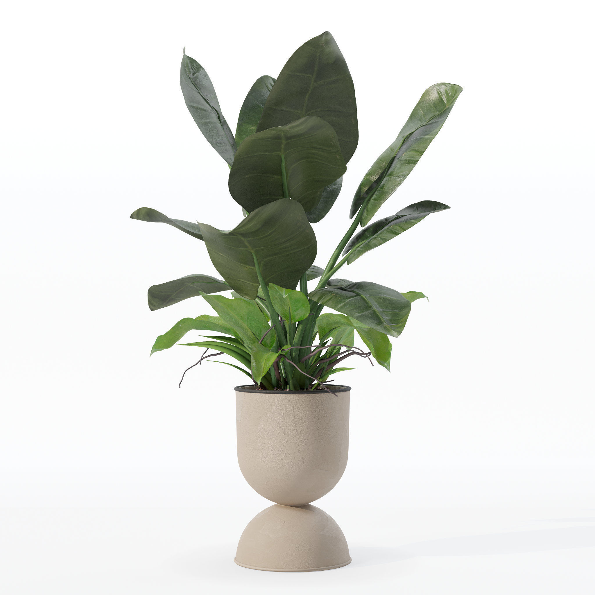 Philodendron imperial green in modern flowerpot 3D model_27