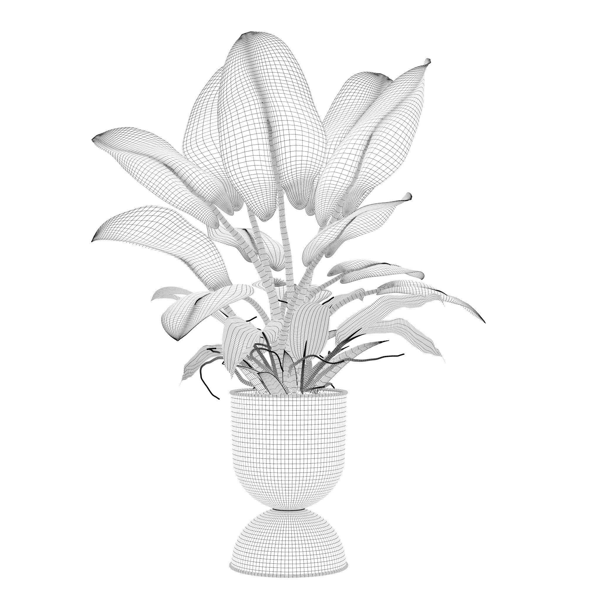 Philodendron imperial green in modern flowerpot 3D model_6