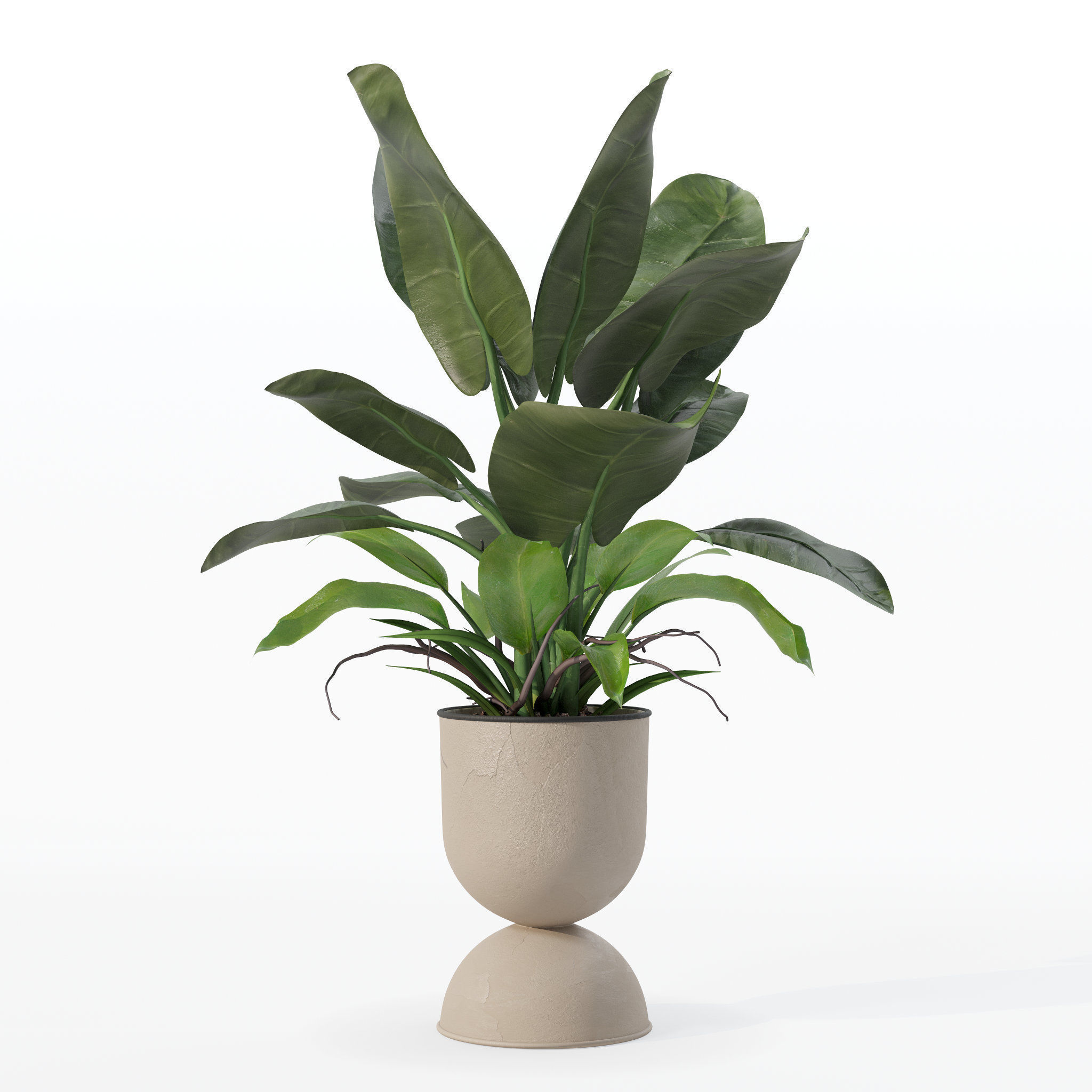 Philodendron imperial green in modern flowerpot 3D model_25