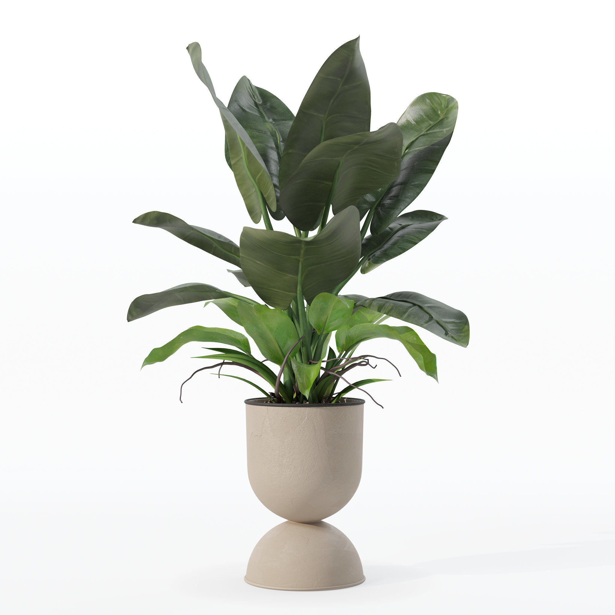 Philodendron imperial green in modern flowerpot 3D model_26