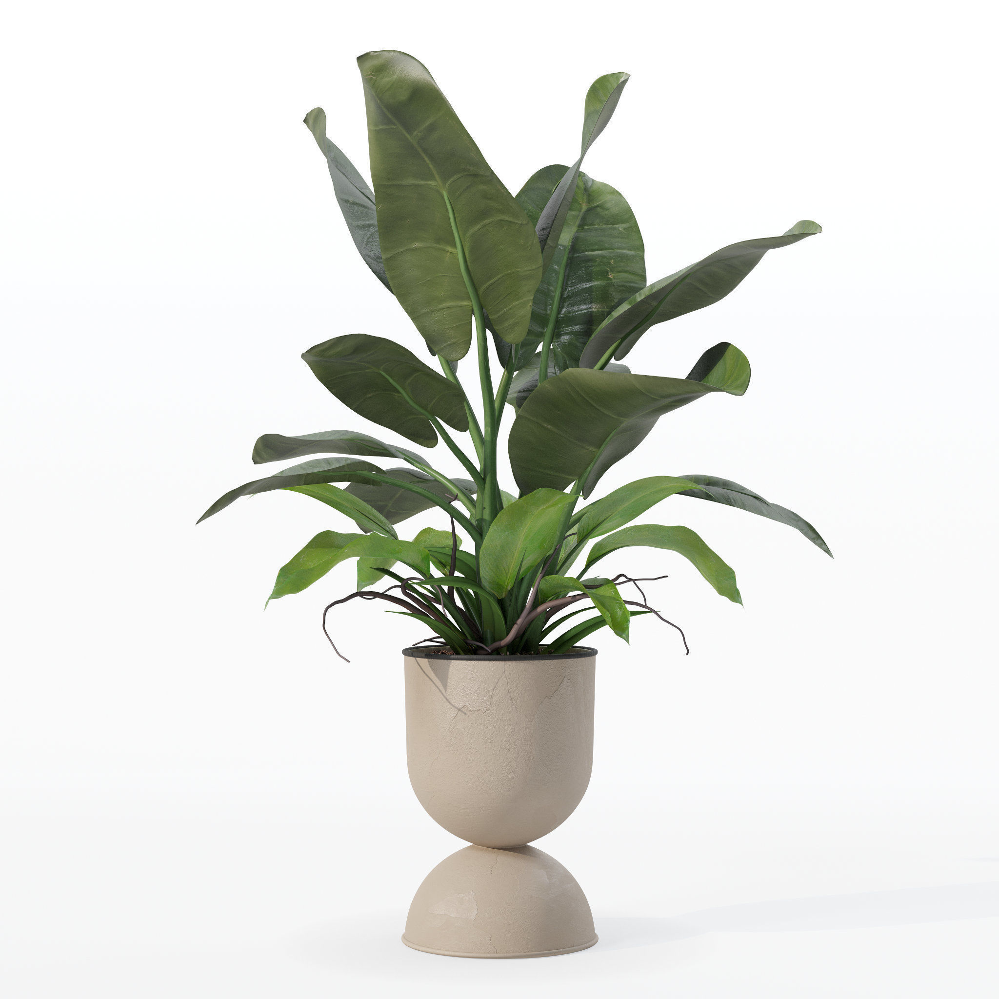 Philodendron imperial green in modern flowerpot 3D model_24