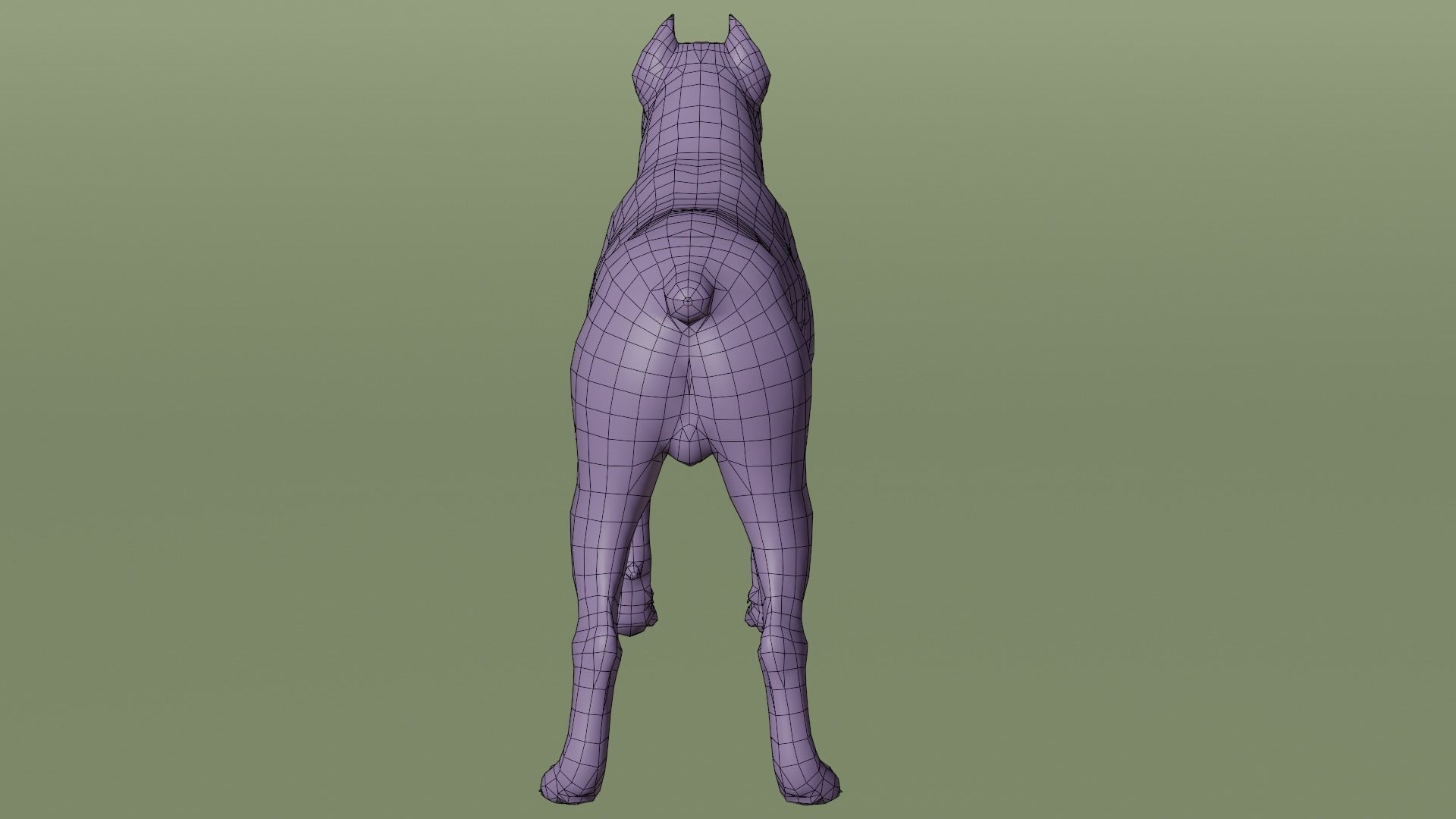 Pitbull Low-poly 3D model_8