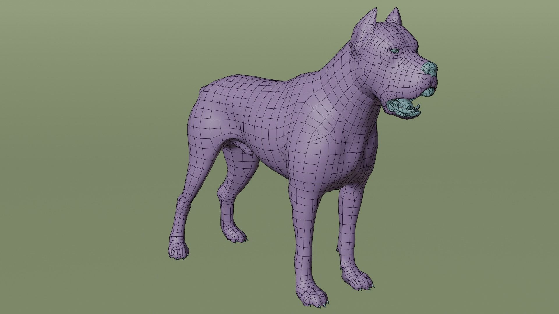 Pitbull Low-poly 3D model_7