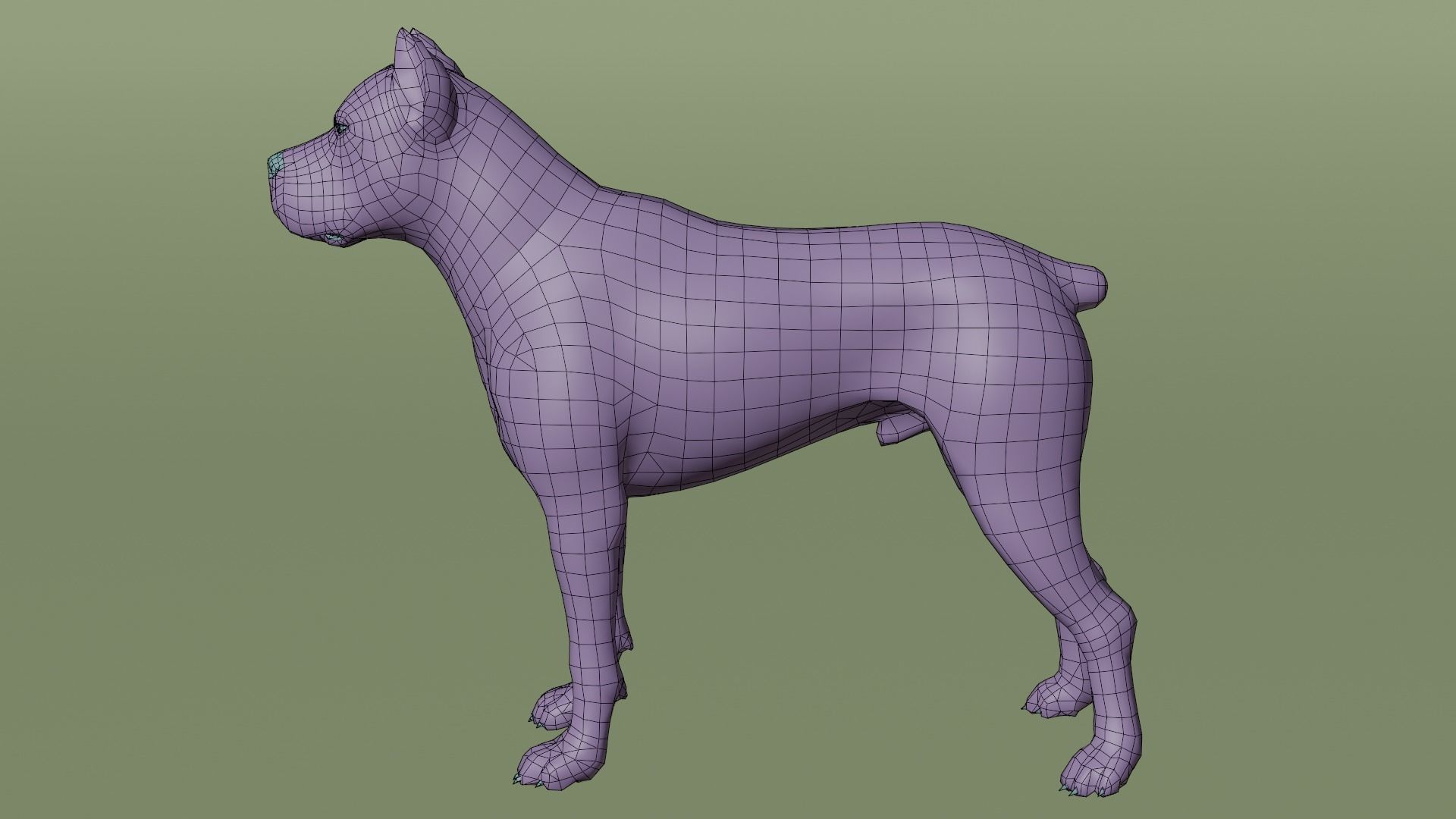 Pitbull Low-poly 3D model_13