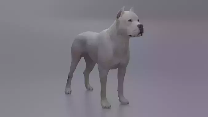 Pitbull Low-poly 3D model