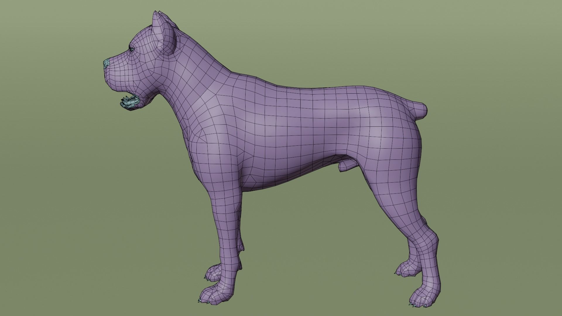 Pitbull Low-poly 3D model_10