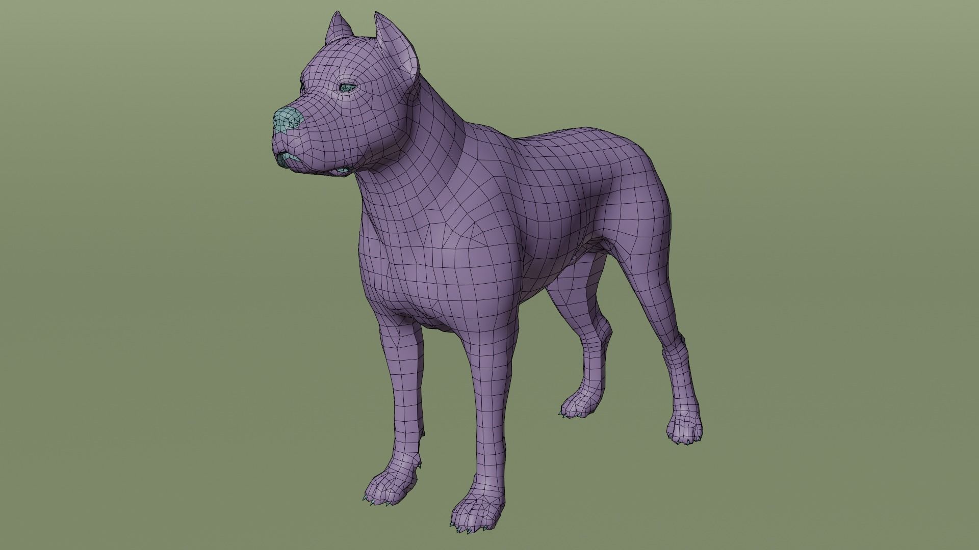 Pitbull Low-poly 3D model_9