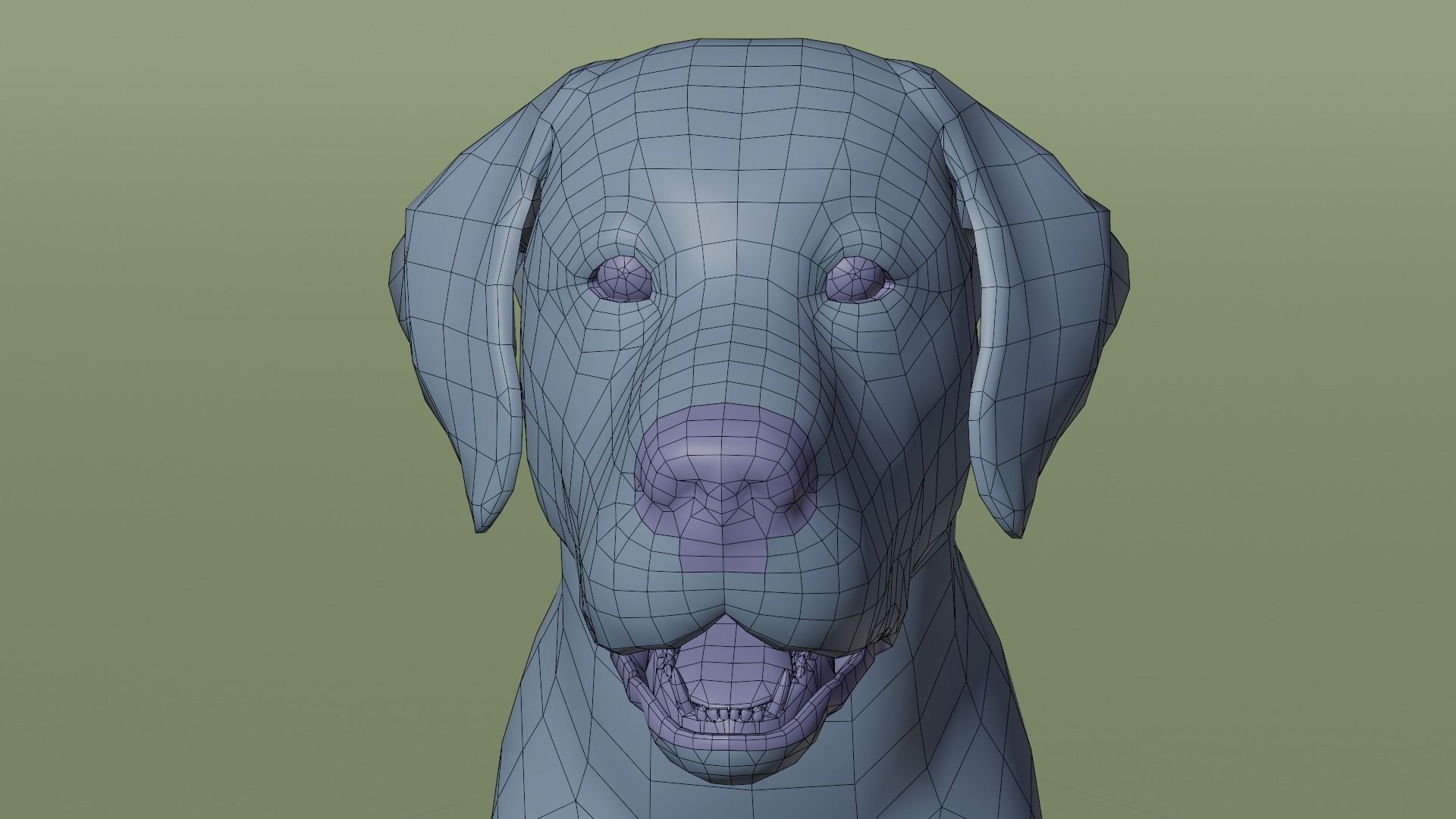 Domestic Dog Low-poly 3D model_10