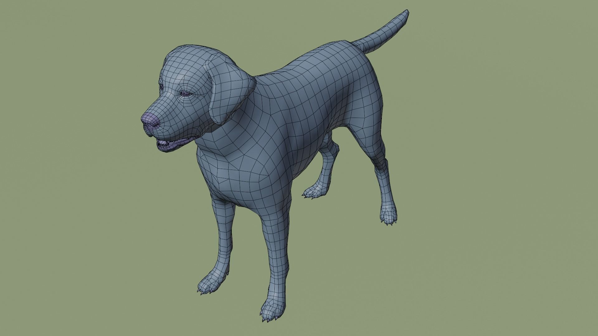Domestic Dog Low-poly 3D model_11
