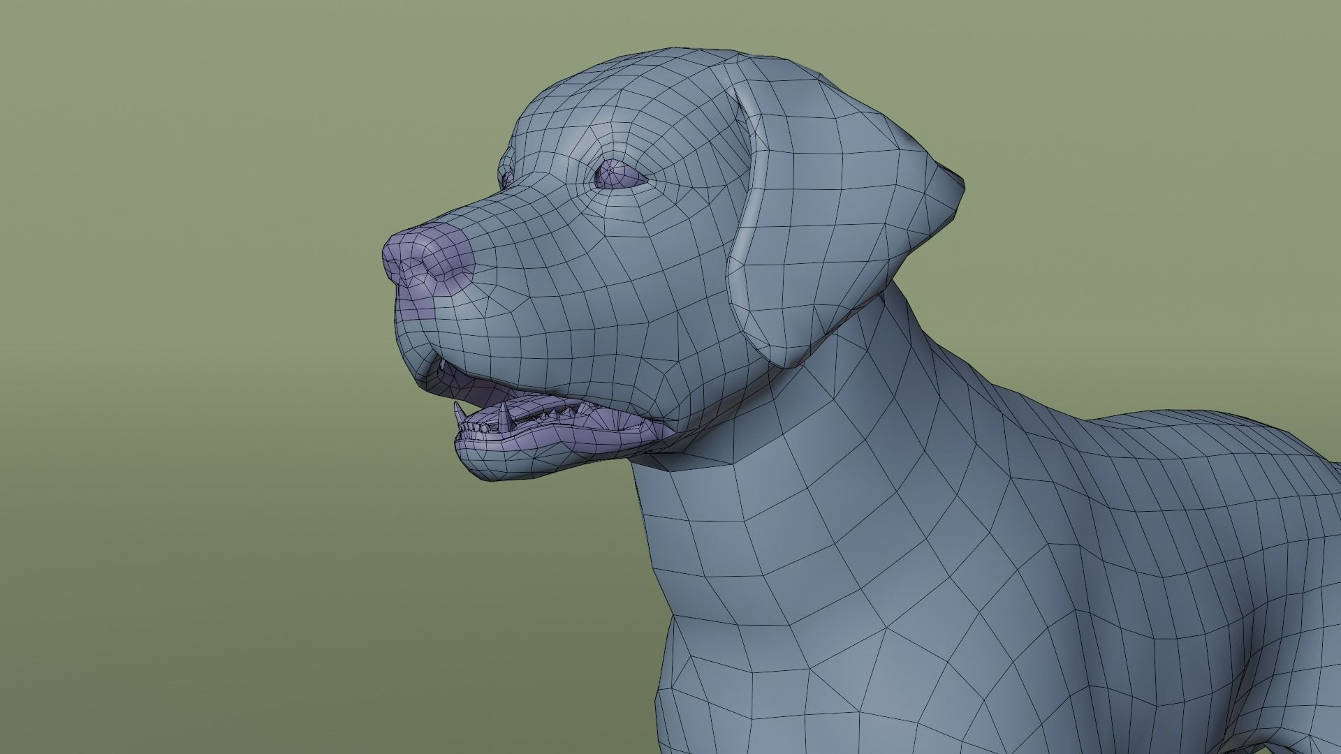 Domestic Dog Low-poly 3D model_9