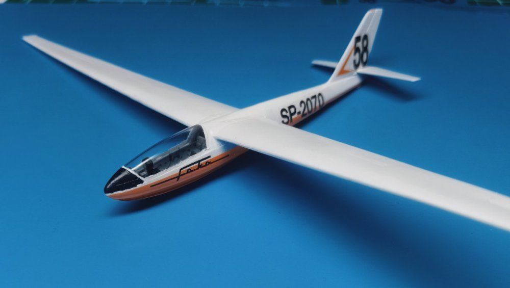 Glader Riders Model SZD-24 Foka Glider 3D model 3D printable | CGTrader