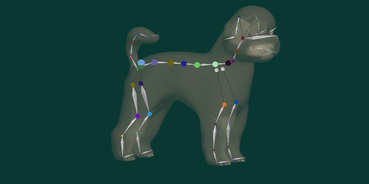 Bichon Frise Dog Breed 3D model_2