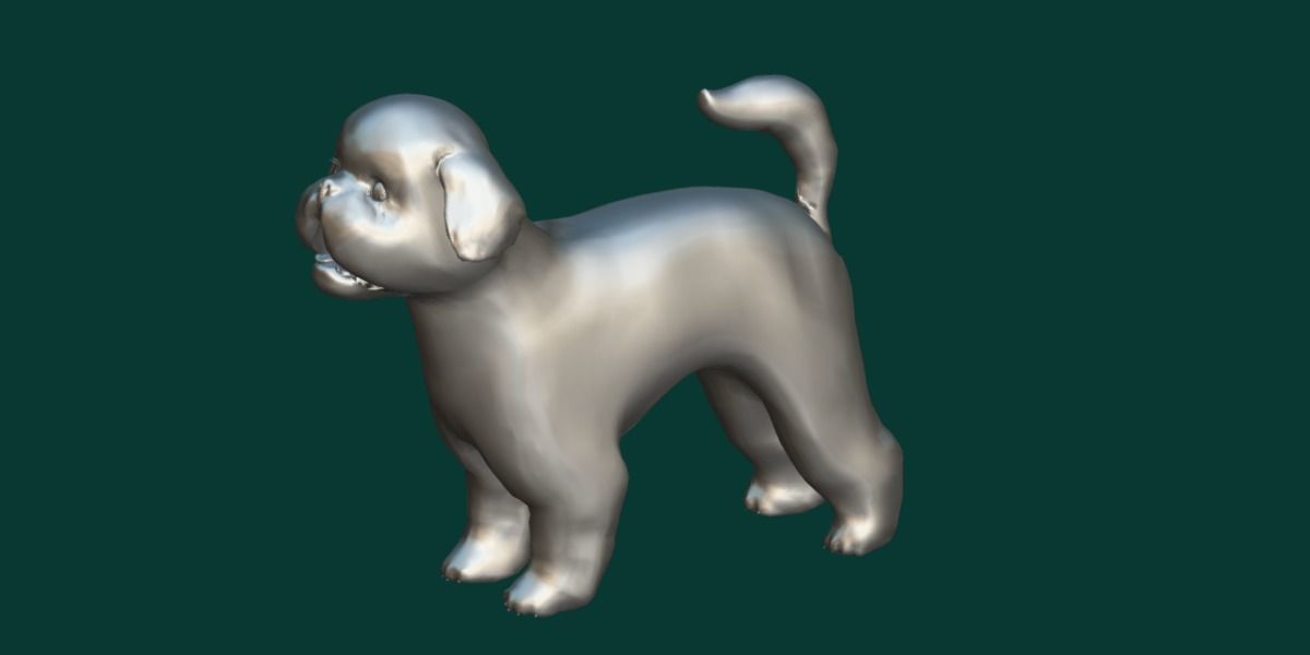Bichon Frise Dog Breed 3D model_17