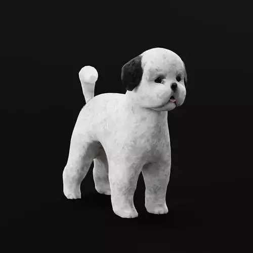 Bichon Frise Dog Breed