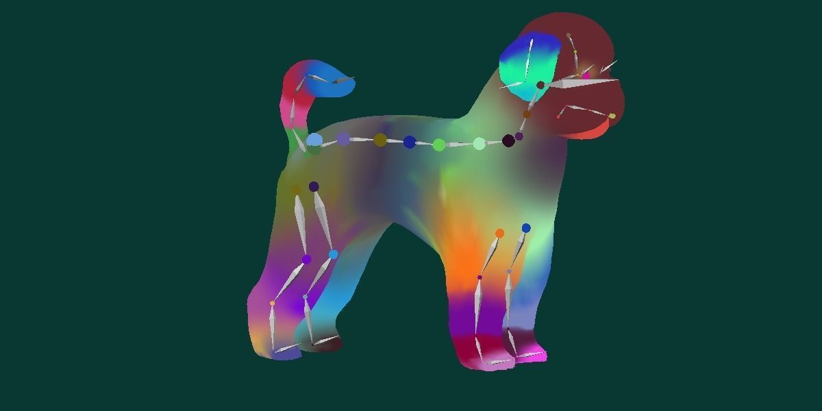 Bichon Frise Dog Breed 3D model_11