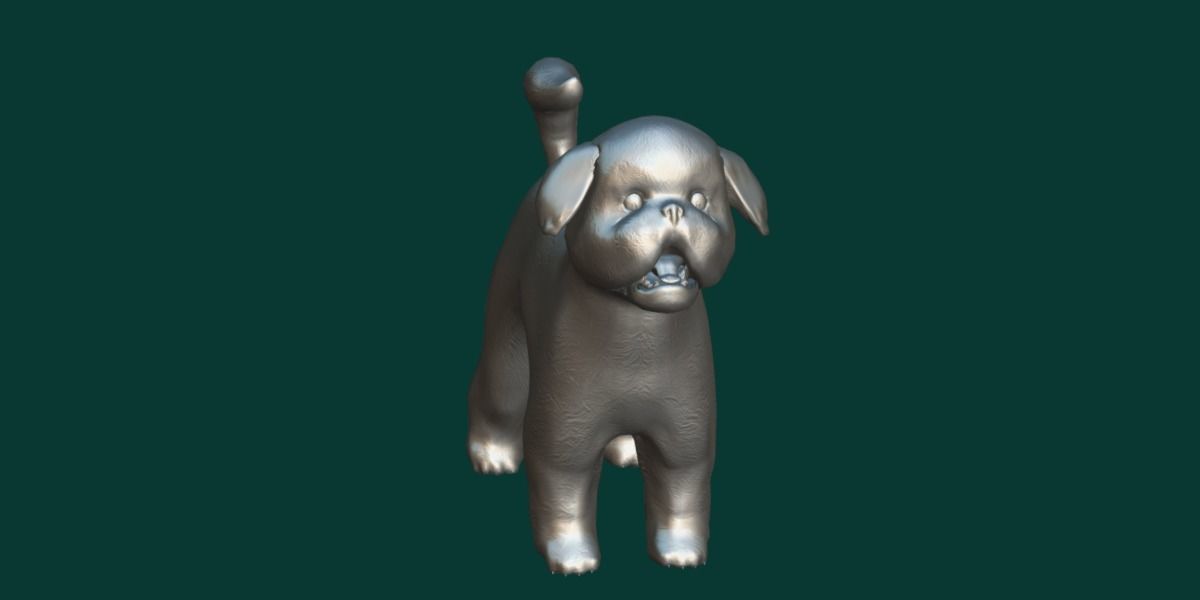Bichon Frise Dog Breed 3D model_18