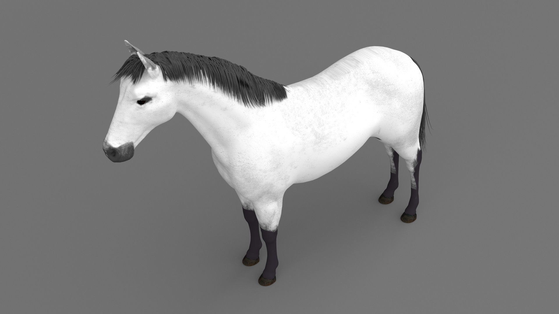 White Horse 4K 3D model_3