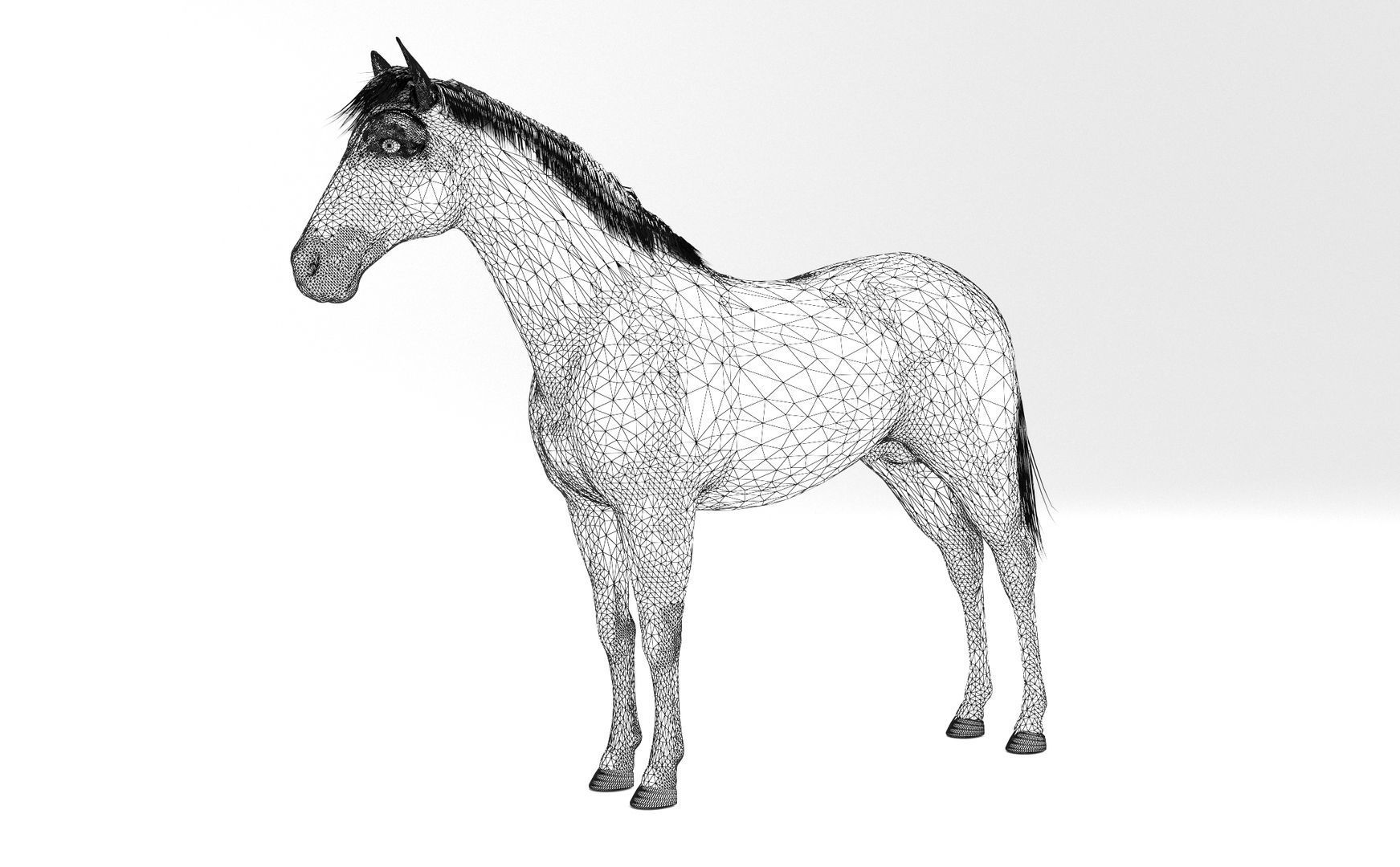 White Horse 4K 3D model_6
