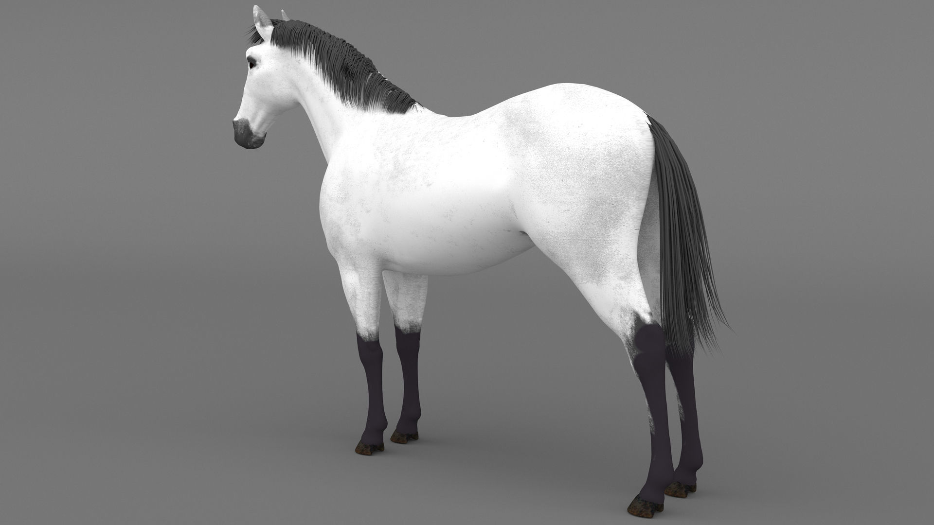 White Horse 4K 3D model_2