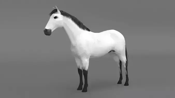 White Horse 4K