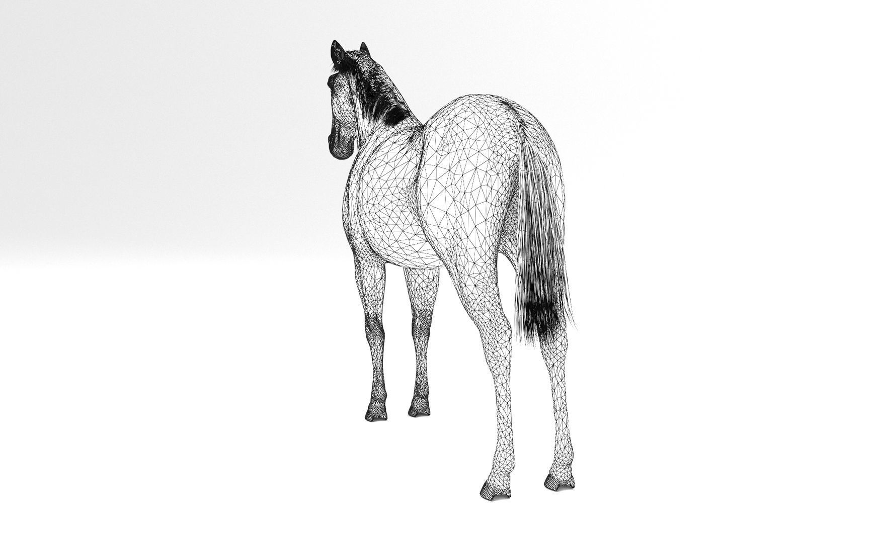 White Horse 4K 3D model_9