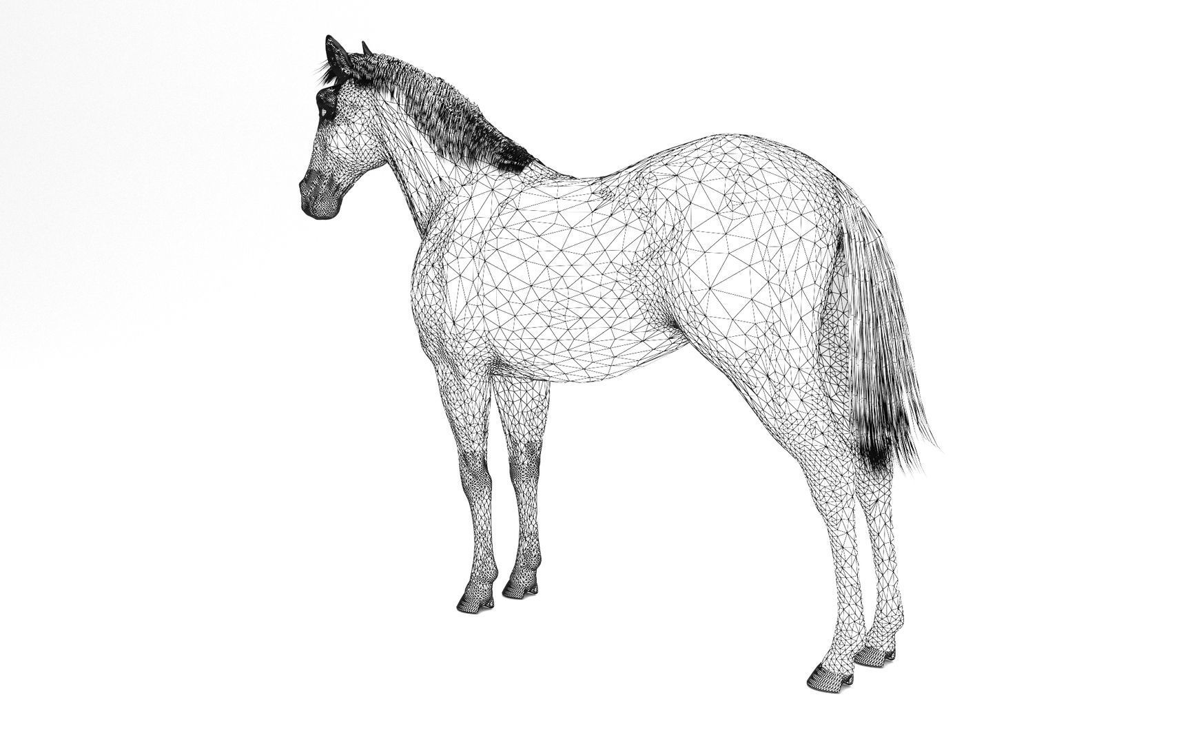 White Horse 4K 3D model_7