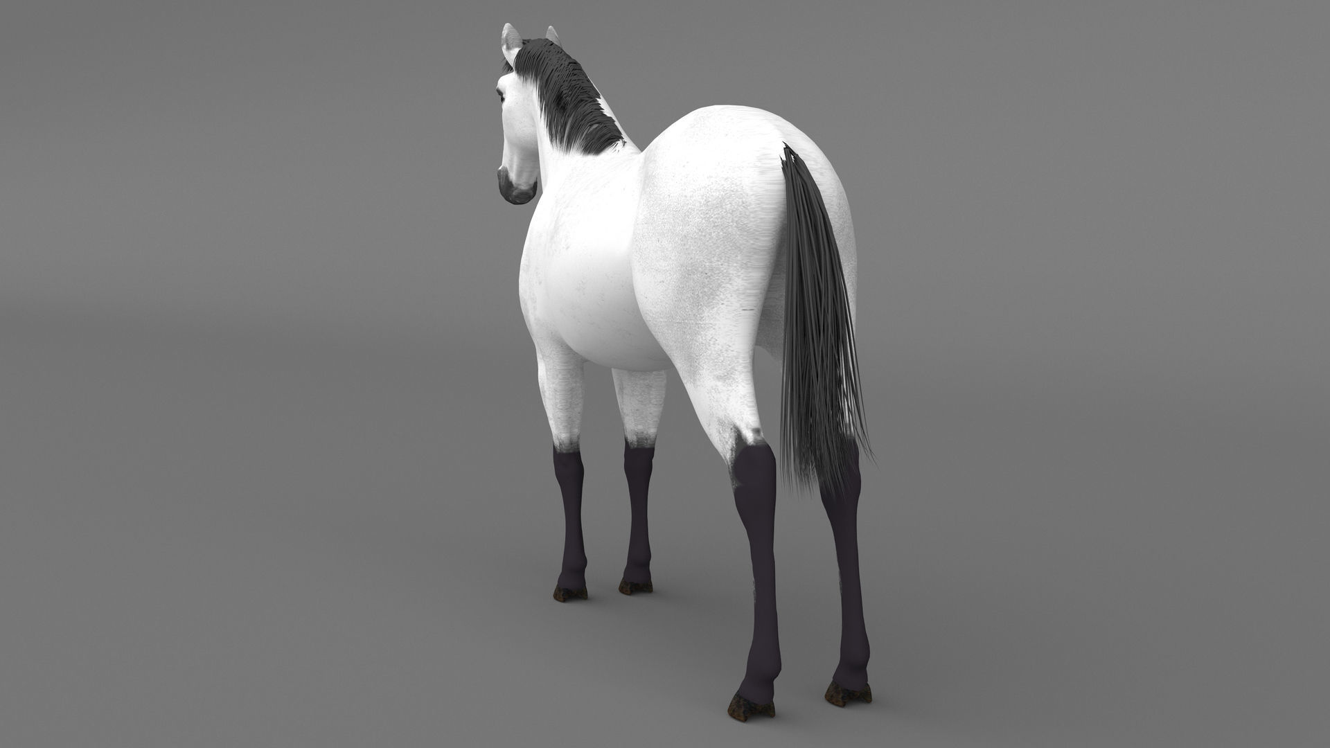 White Horse 4K 3D model_4