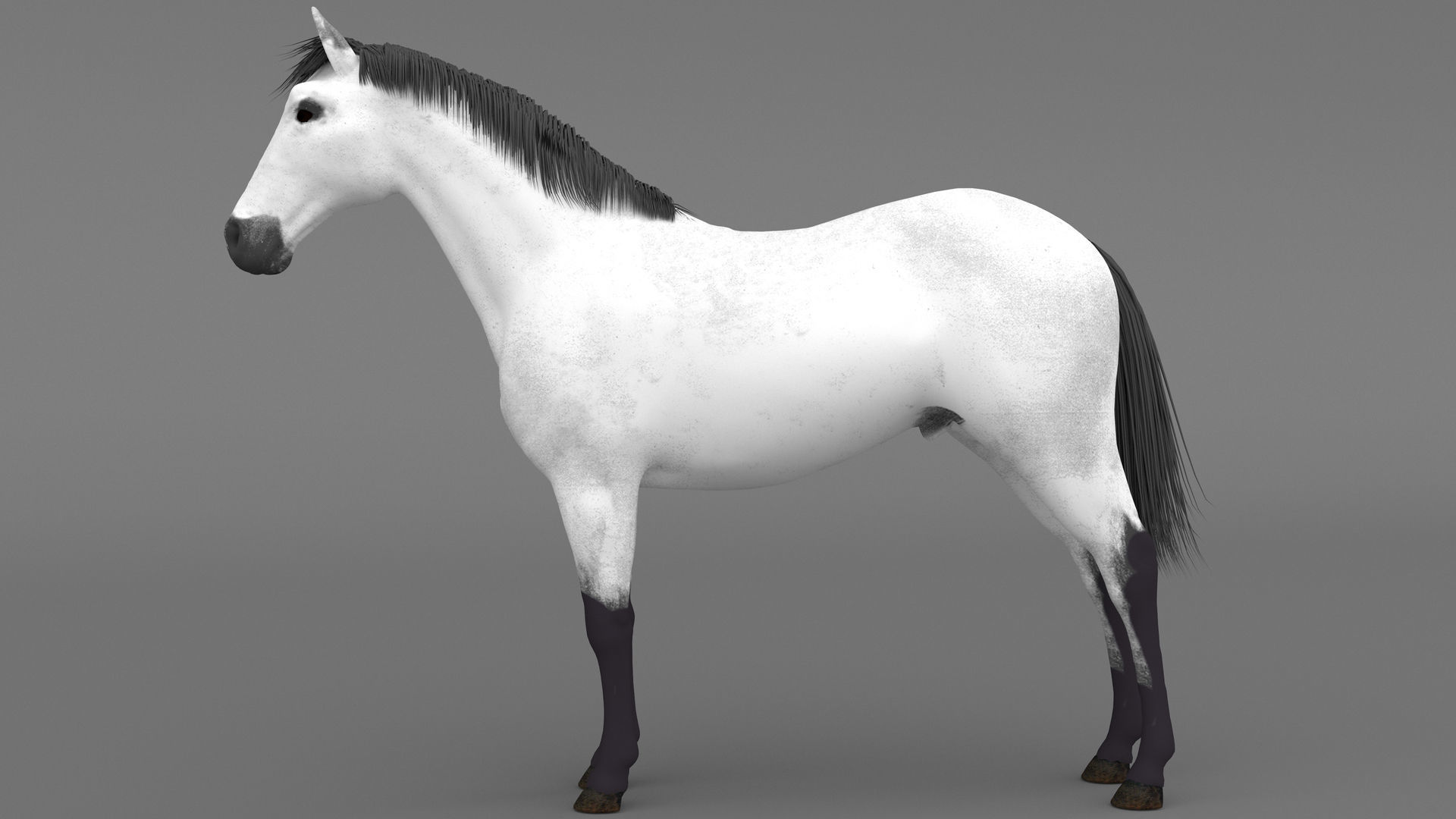 White Horse 4K 3D model_1