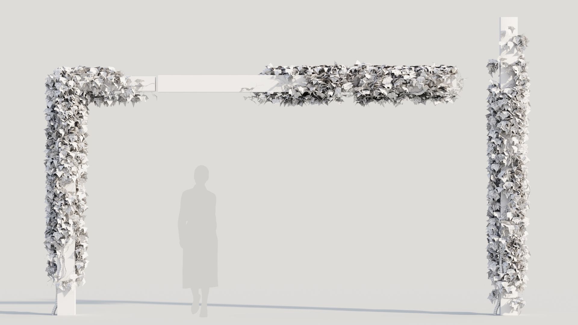 Hedera helix d 3D model_1