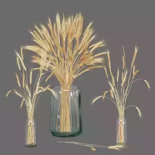 Flower In Vase 17 3D model