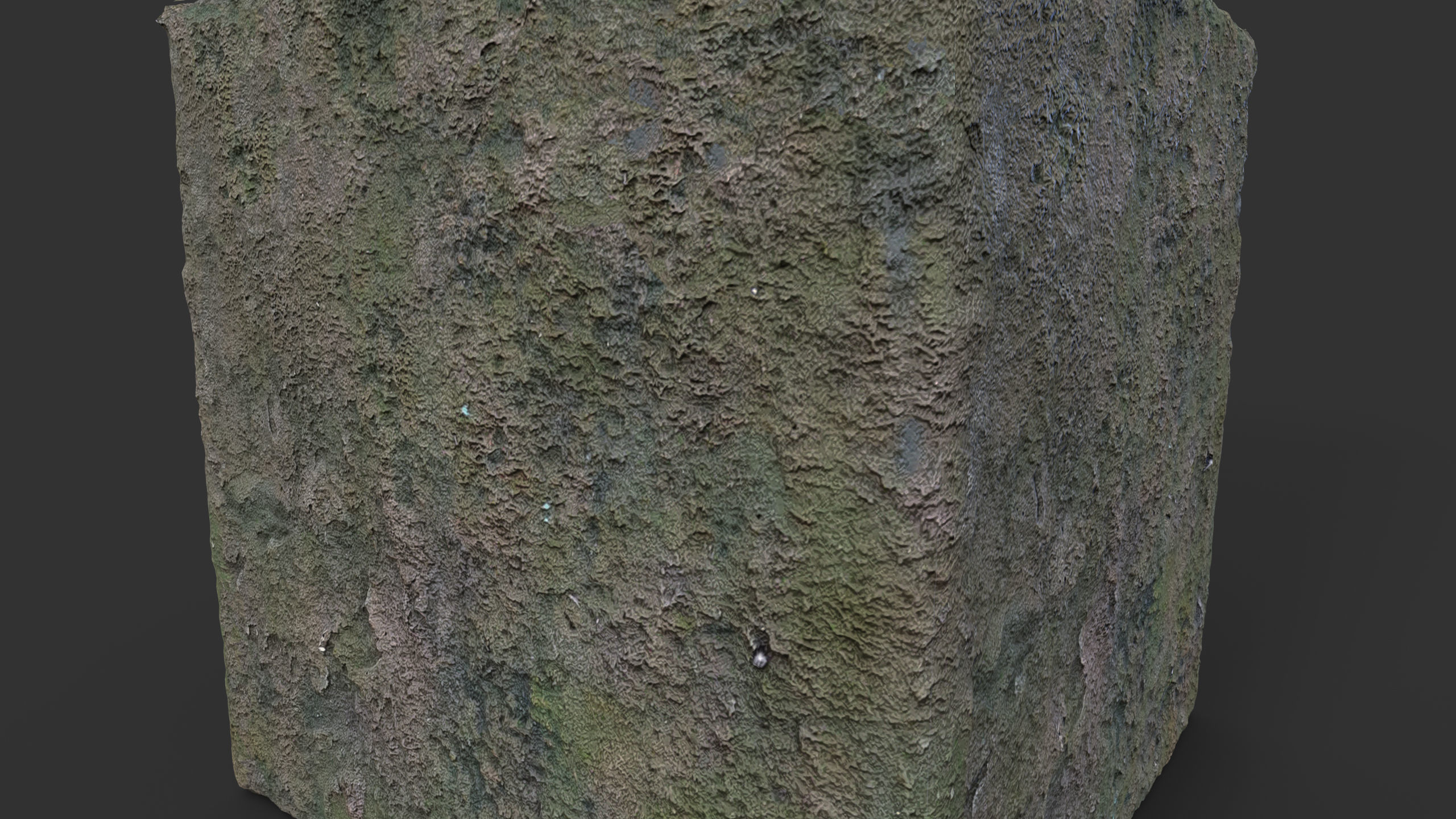 Mossy Plaster Wall seamless PBR texture Texture_5