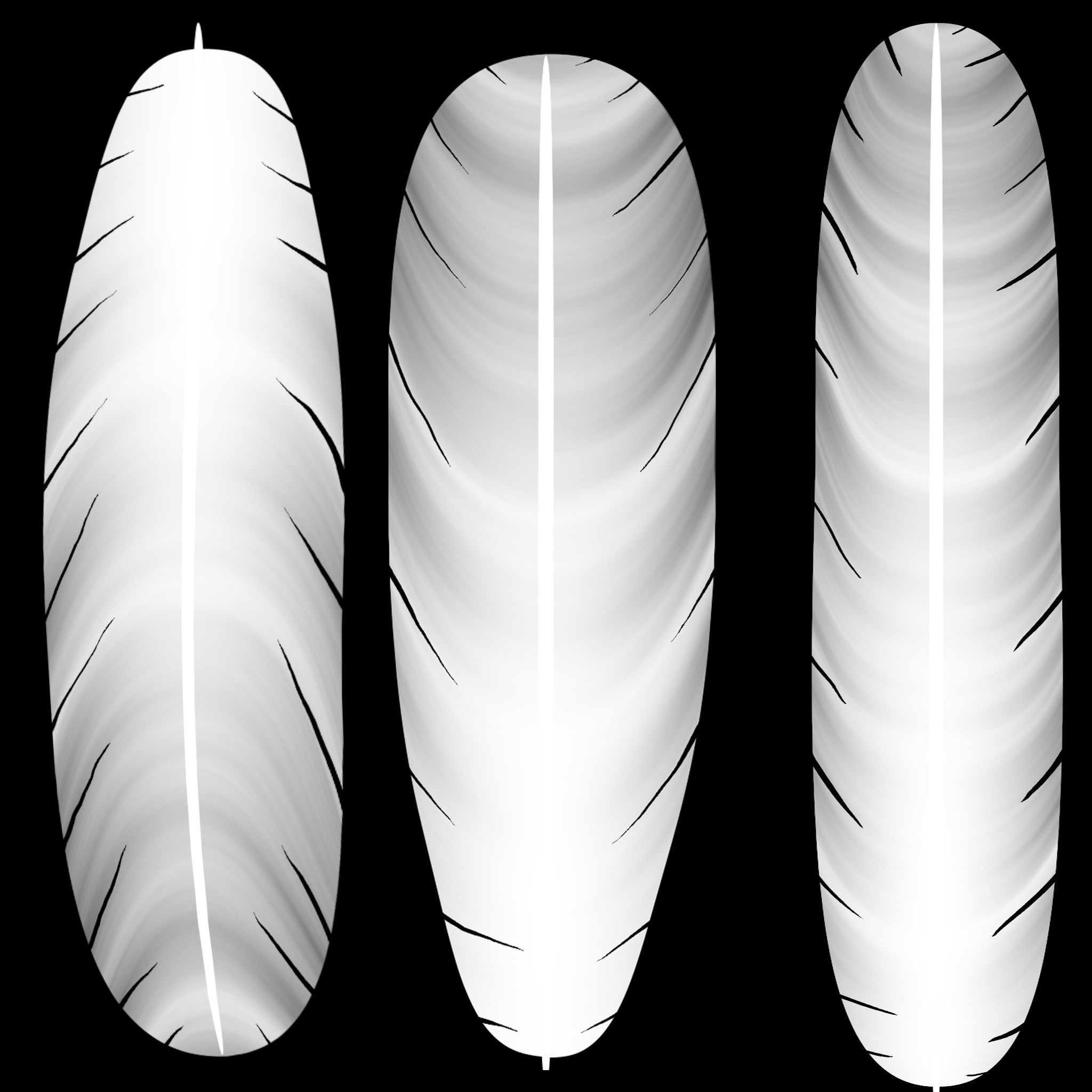 Mynah Bird 3D model_8