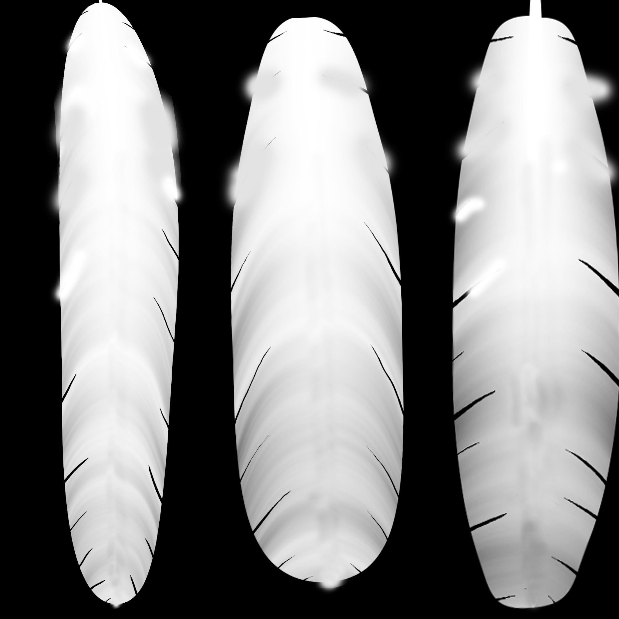 Mynah Bird 3D model_1