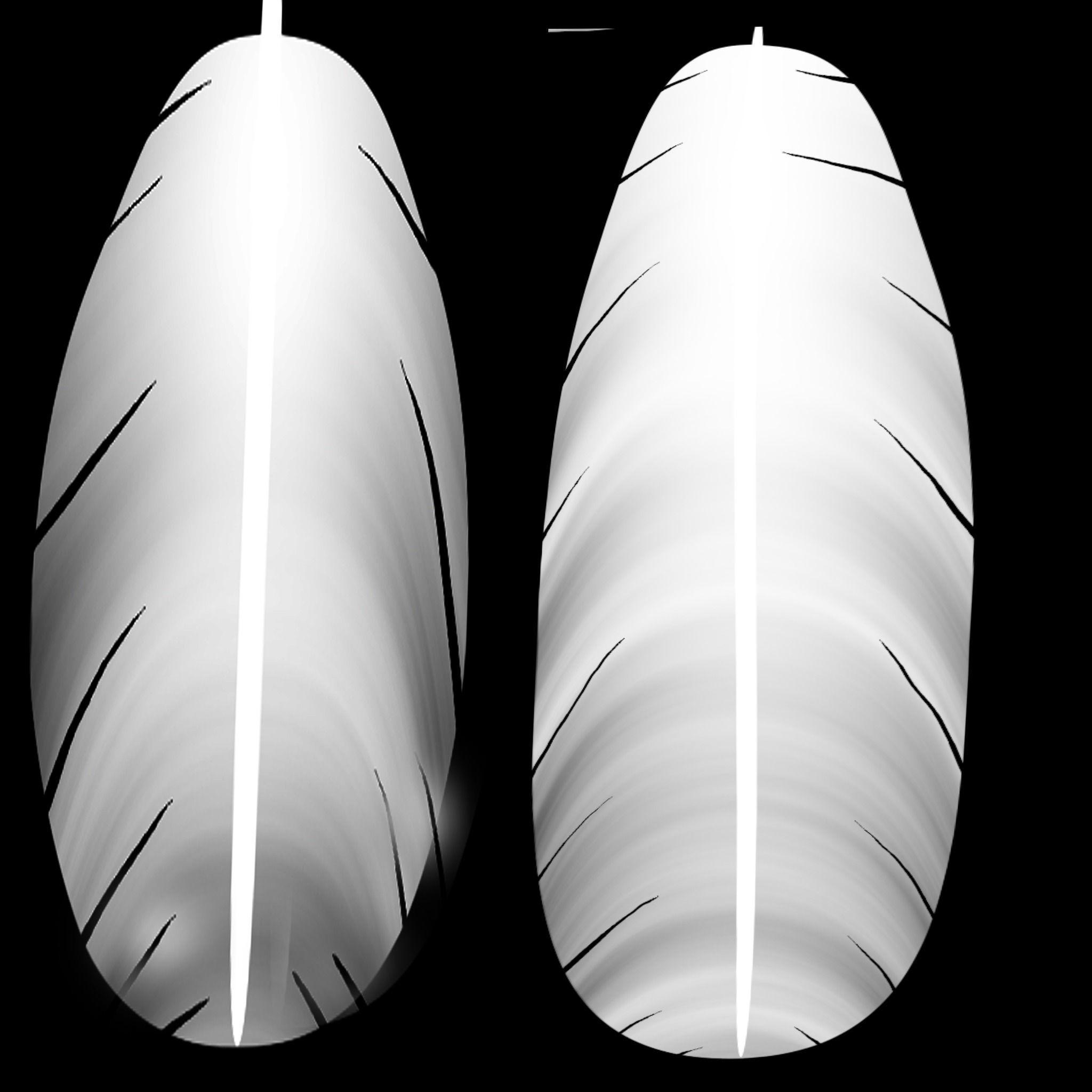 Mynah Bird 3D model_2