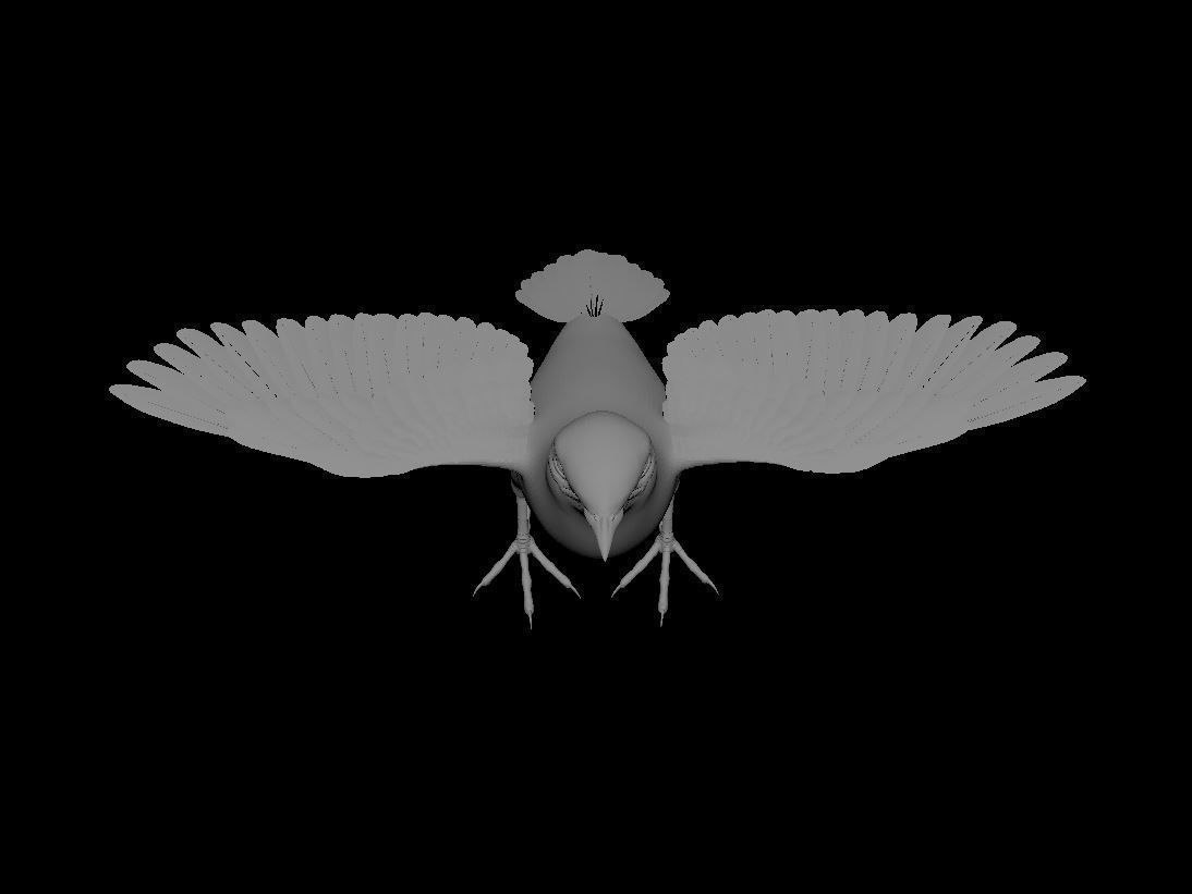 Mynah Bird 3D model_5