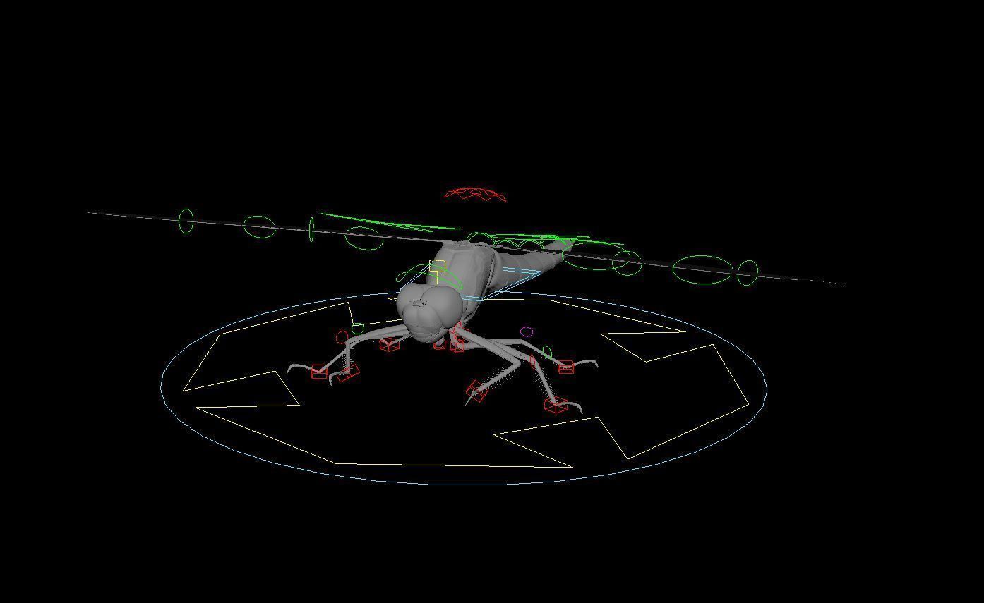 Dragon Fly 3D model_4