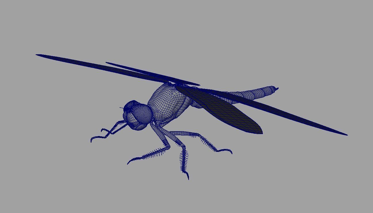 Dragon Fly 3D model_6