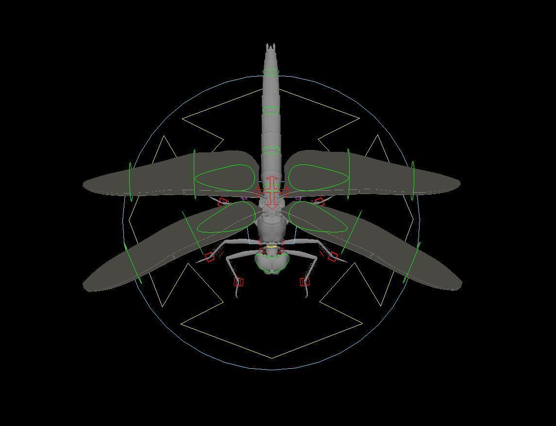 Dragon Fly 3D model_3