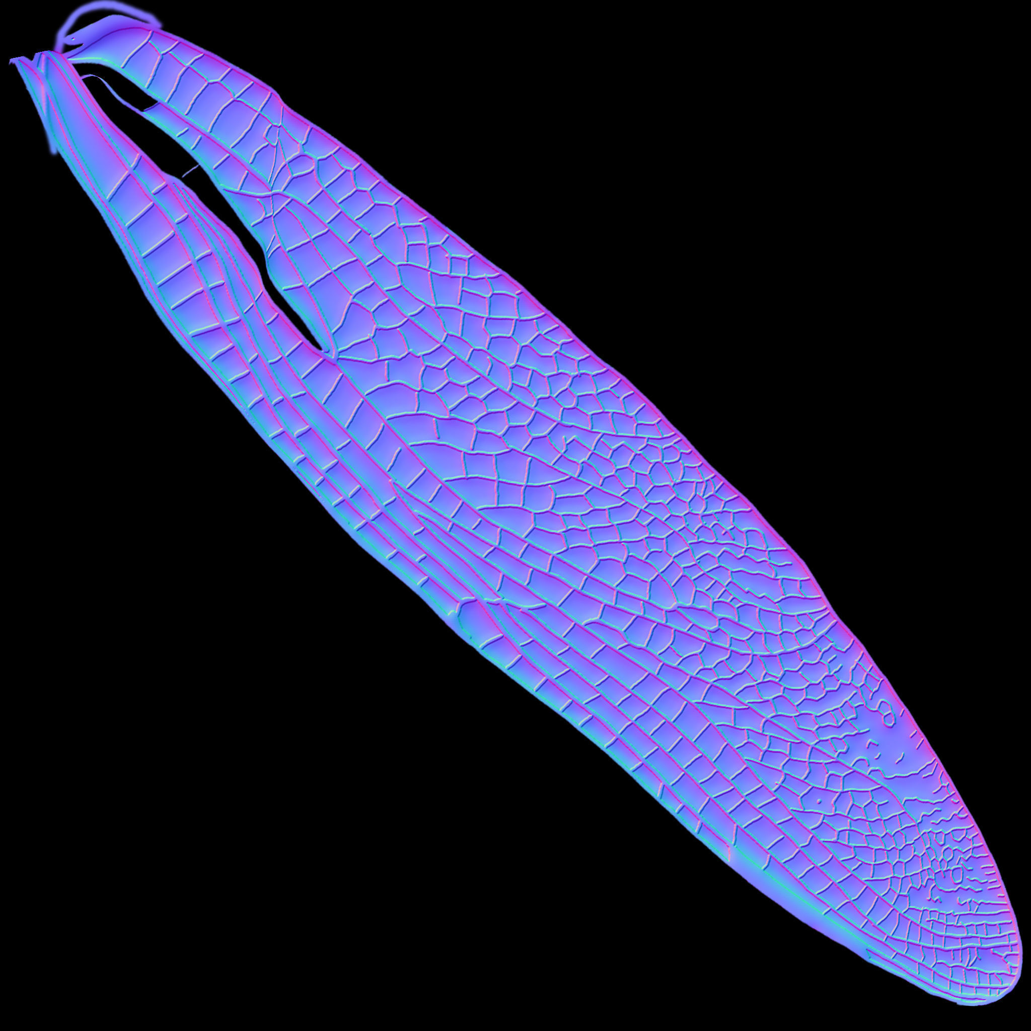 Dragon Fly 3D model_8