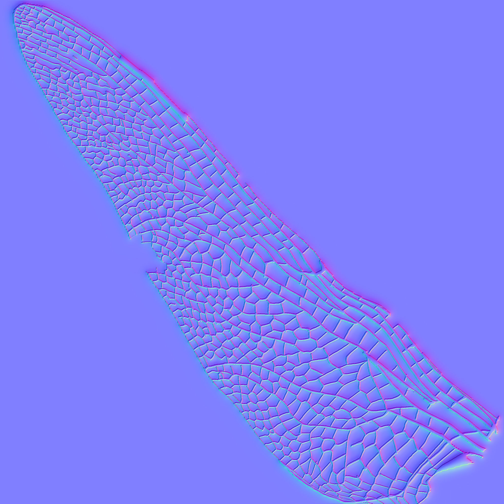 Dragon Fly 3D model_10