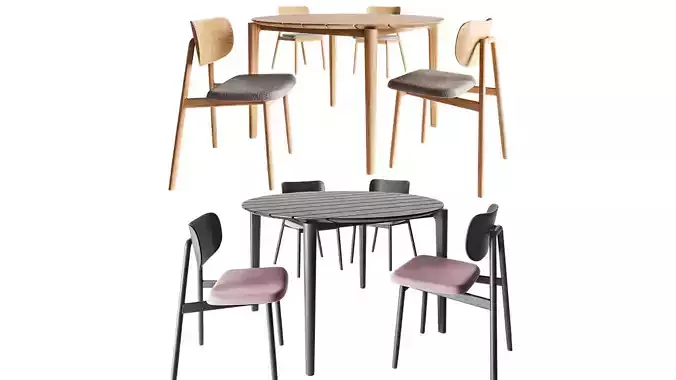 Ethnicraft Teak Bok table and Moroso Klara chair