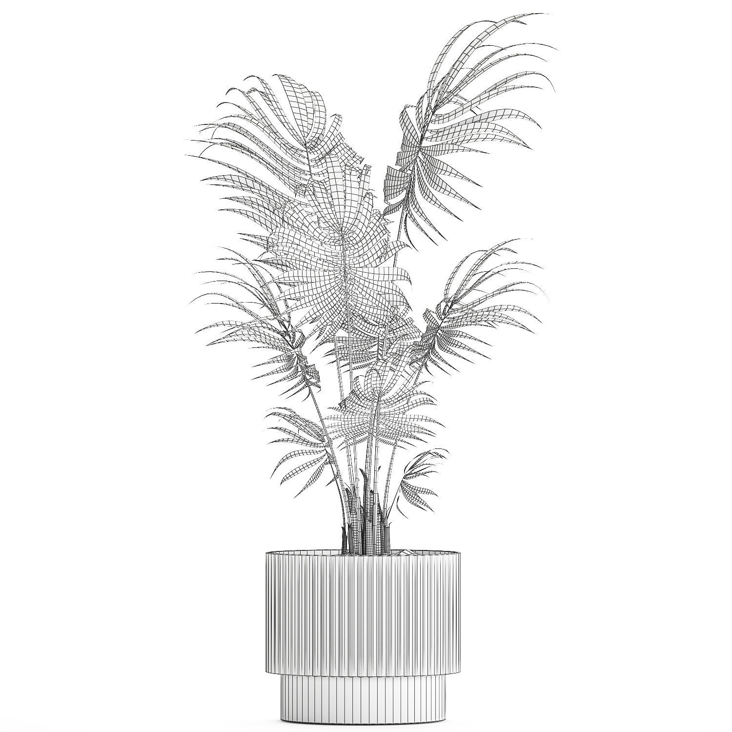 Beautiful small indoor Howea palm tree in a flower pot 1460 3D model_12