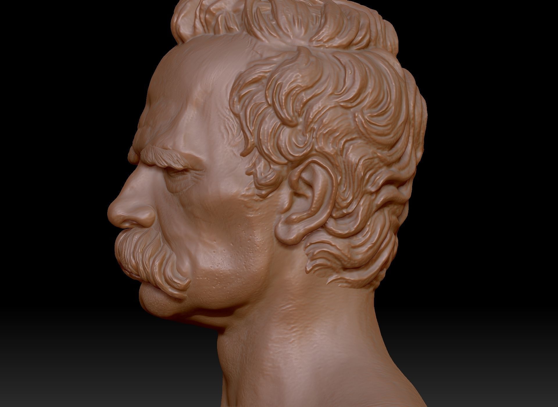 Bust of Friedrich Nietzsche 3D print model_29