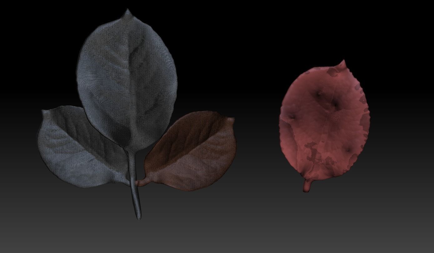 Rose leaf leaf rose leaf 3D printing STL 3D print model_3