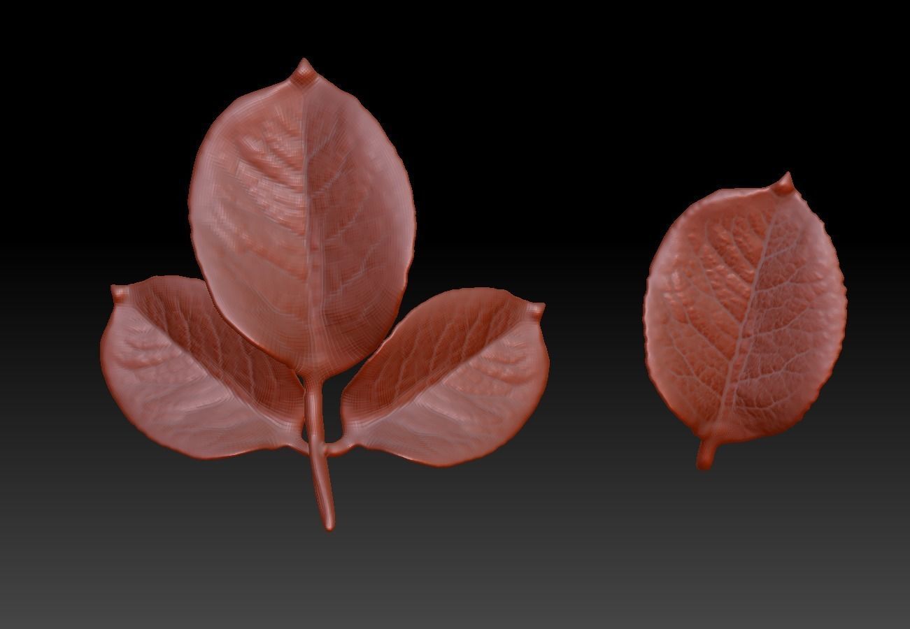 Rose leaf leaf rose leaf 3D printing STL 3D print model_2