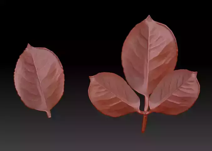 Rose leaf leaf rose leaf 3D printing STL